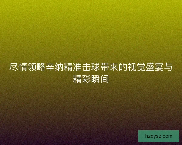 尽情领略辛纳精准击球带来的视觉盛宴与精彩瞬间