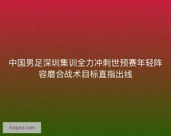 中国男足深圳集训全力冲刺世预赛年轻阵容磨合战术目标直指出线