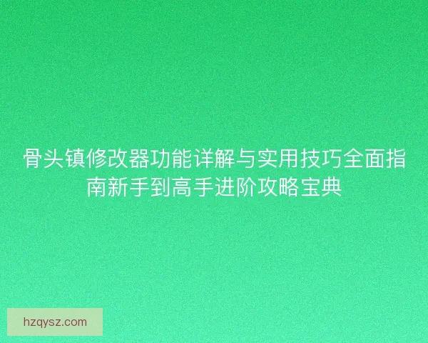 骨头镇修改器功能详解与实用技巧全面指南新手到高手进阶攻略宝典